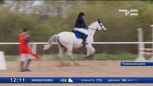 Первенство Тюменской области по конному спорту смотреть онлайн