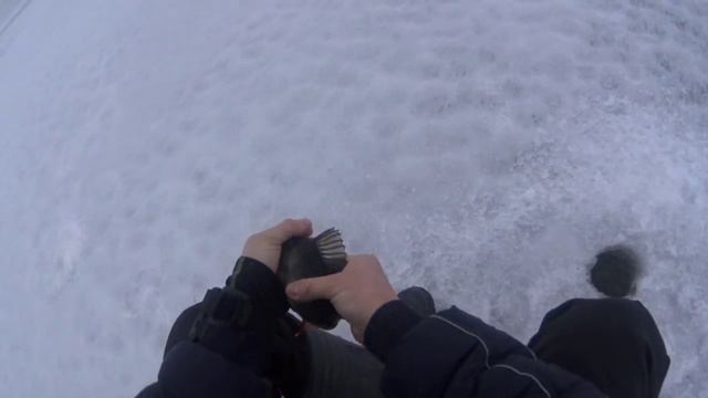 На ладогу после лесного озера смотреть онлайн