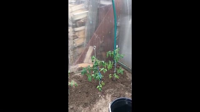 Какой способ урожайней!? смотреть онлайн