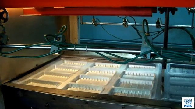 Производство одноразовой тарелки и лотков для заморозки смотреть онлайн