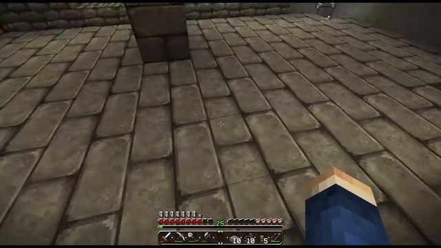 Let's Play Together Minecraft - Better Than Wolves #22 [German] - Platt formen in zwei Aufzügen смотреть онлайн