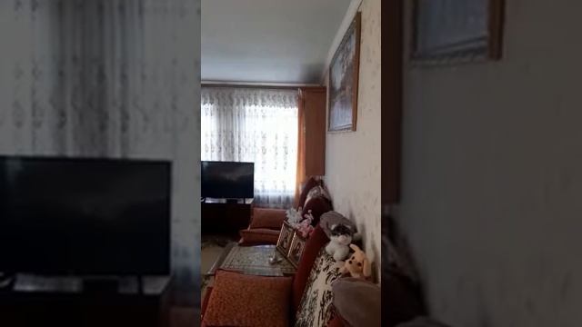 канарейка 12 колен часть 2 смотреть онлайн
