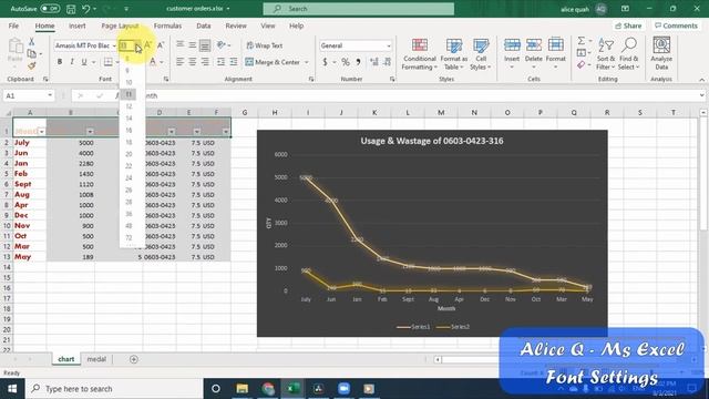 Chapter 2B - Microsoft Excel - Font Setting смотреть онлайн