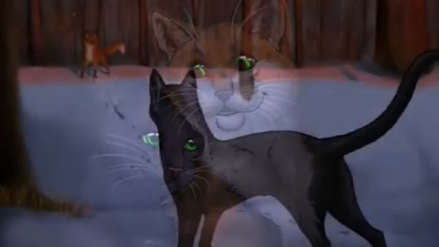 Коты Воители Остролистая-Монстер