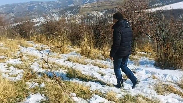 ловля щеглов в горах 20.11.2018 смотреть онлайн