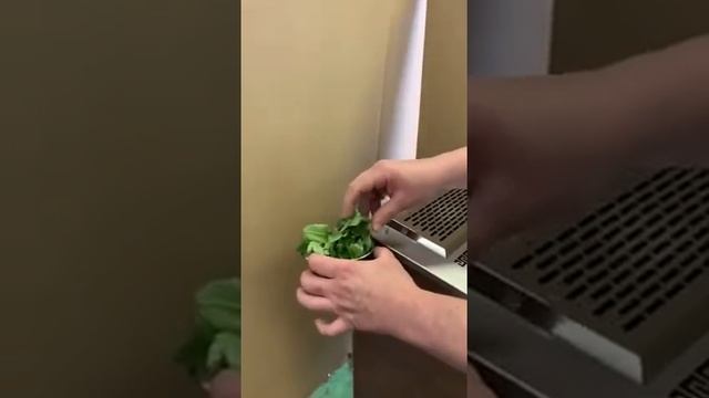 Ароматизатор ПиЖ смотреть онлайн