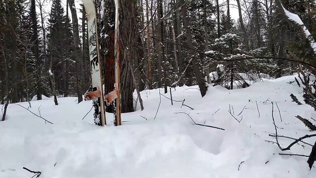 Замечательное время провождение выходного дня//Вылазка в лес//Следы лося//Буран//с.Аскино смотреть онлайн