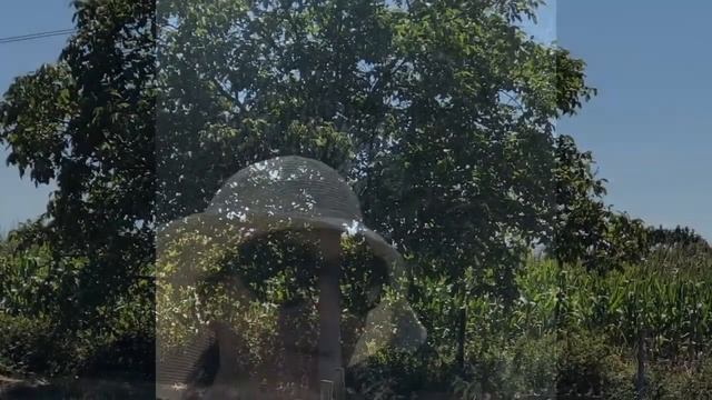 40 day challenge AJAI ALAI смотреть онлайн