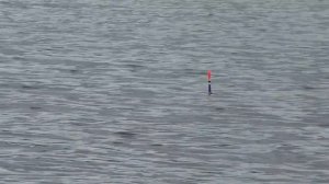 Рыбалка на ПОПЛАВОК. Ловля ЛЕЩА на поплавочную удочку. Поклёвки КРУПНЫМ ПЛАНОМ. Рыбалка 2022