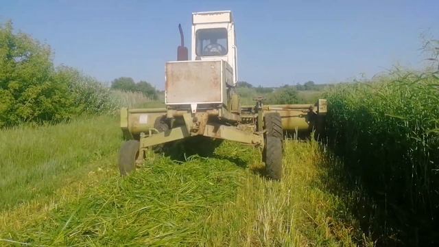 Косим суданку на комбайне forshrite смотреть онлайн