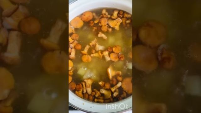 Суп из лесных грибов