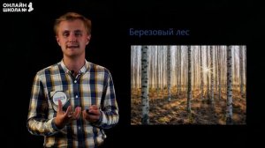 Растительные сообщества и взаимосвязи в них. Видеоурок 28. Биология 6 класс