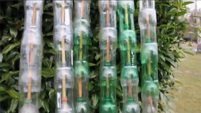 SASS | Plastic Bottle Greenhouse смотреть онлайн