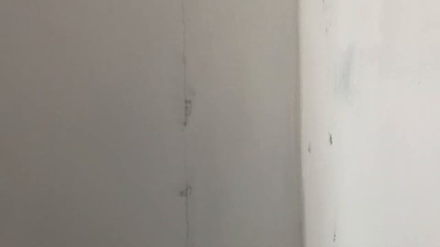 Как сделать стену из сибита Своими руками DIY смотреть онлайн