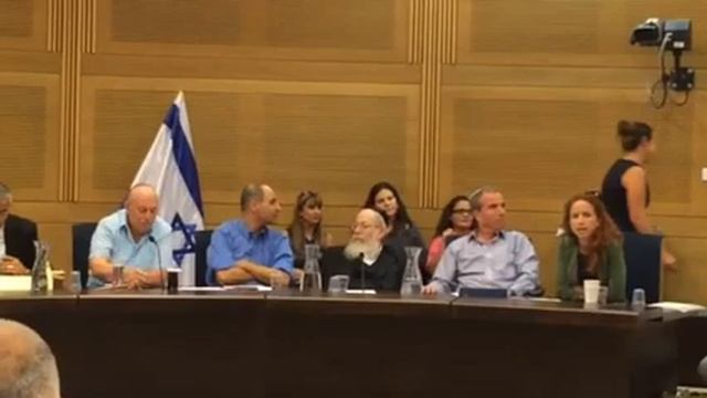 סתיו שפיר: לכל חיילי צה״ל המשוחררים מגיע דיור הוגן смотреть онлайн