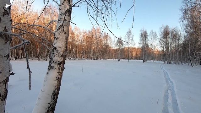 Охота на лося 2021 смотреть онлайн