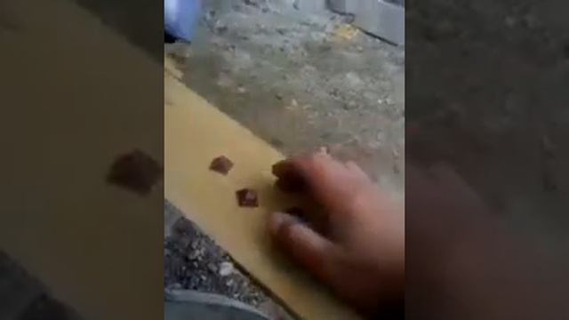 Халаджи отдыхает смотреть онлайн