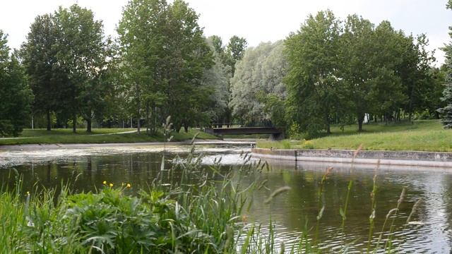 ГЛУПАЯ МЕСТЬ НЕВЕСТЫ И МОКРЫЙ КОНЕЦ. Истории из жизни. Жизненные рассказы смотреть онлайн