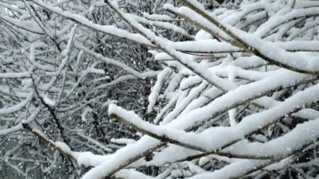 Никого не будет в доме