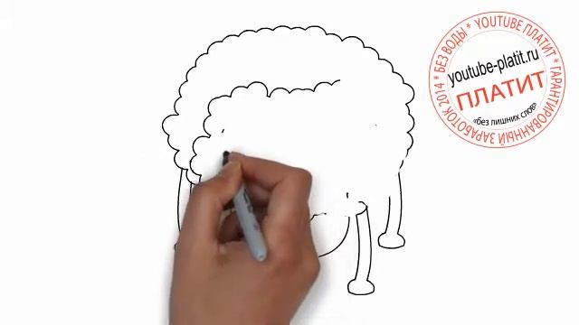Как нарисовать грамотно подстриженную овцу карандашом смотреть онлайн