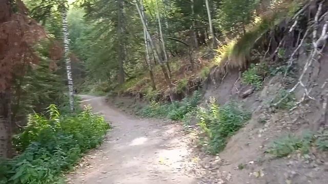 БЕЛОКУРИХА новая дорога до лесной сказки. смотреть онлайн