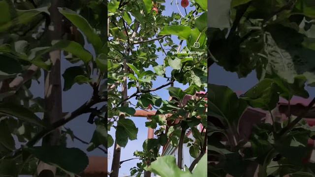 Один из уютных дней 🤍