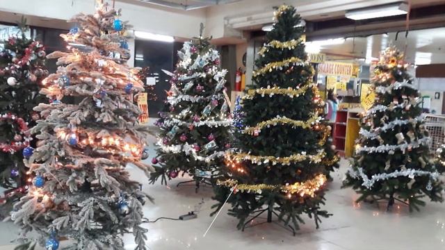 Interesting Facts About Christmas Trees