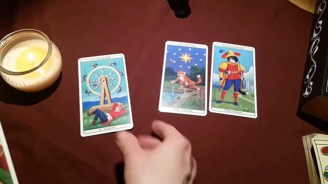 Таро Марсельских котов, обзор колоды. Marseille cat Tarot. смотреть онлайн