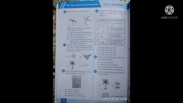 LIVING AND NON-LIVING THINGS смотреть онлайн