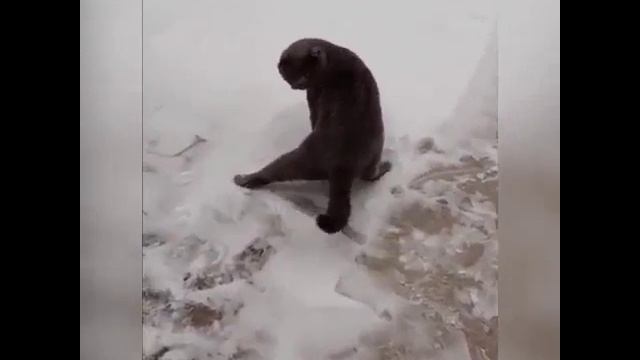 Приколы 10.mp4 смотреть онлайн