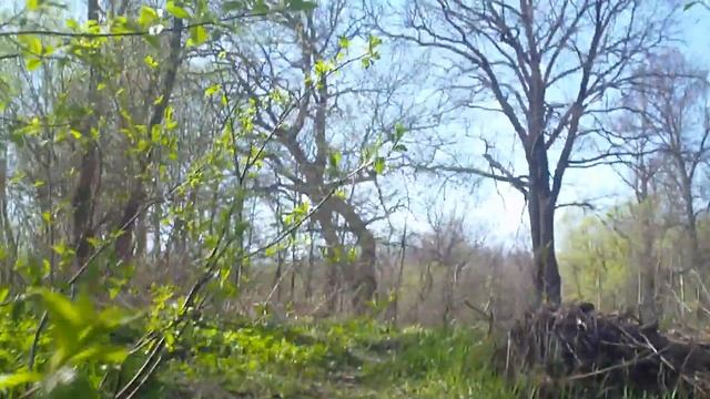 Поиск пути из Ахун на Барковку через лес. Начало.