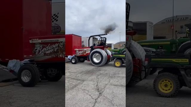 Super Farm “Redweiser” start up #nfms23 #superfarm смотреть онлайн