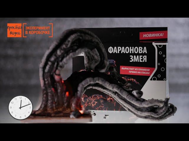 Фараонова змея - набор для опытов Простая Наука - BlackBox