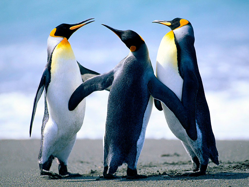 Настройки сетей в Linux