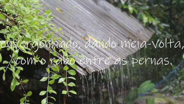 O Casamento De Lúcia - Um Conto De Charles De Moura (Todos Subtítulos)