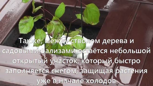 Садовая ВАЛИЗА смотреть онлайн