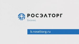 Росэлторг.Бизнес — торговая платформа для закупок частного бизнеса