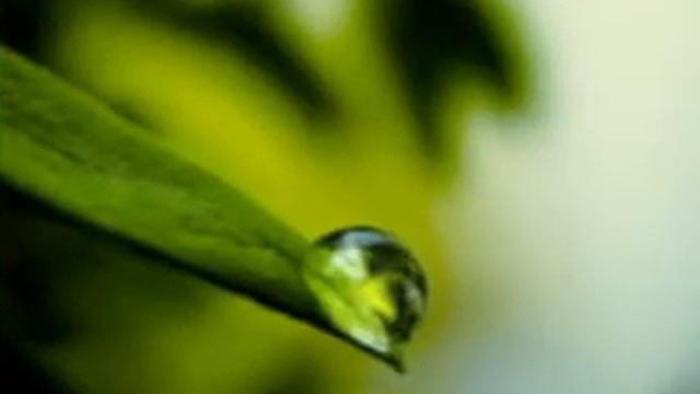Вода Литосферы смотреть онлайн