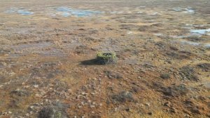 ОХОТА НА ГУСЯ 2023