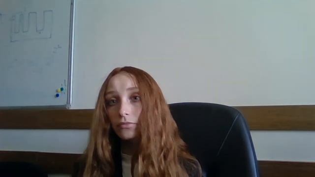 Лекция 1. Омонимия, синонимия, антонимия 7 класс смотреть онлайн