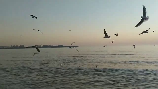 Как в Краснодарском крае в городе Геленджике провести Не дорого выходные. Переезд в Краснодар. смотреть онлайн