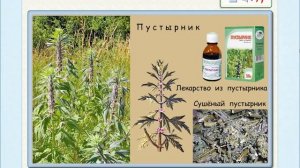 Растения в домашней аптечке УМК «Перспектива» 2 класс