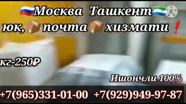 москва ташкент грузоперевозок санкт петербург ташкент почта карго юк хизмати 7 965 331 01 00 смотреть онлайн