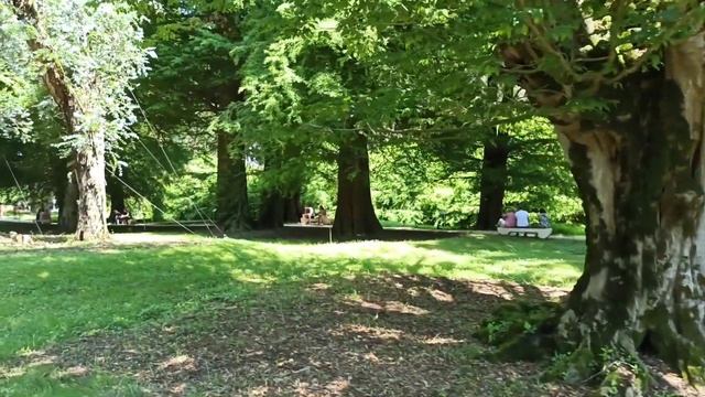 Дендрологический парк в Шекветили | Грузия Гурия Аджария Батуми | Усадьба Иванишвили #WithMe