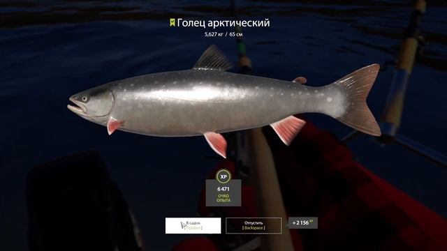Русская рыбалка 4 (РР4) р. Нижняя Тунгуска ГОРБУША, Голец Tunguska River Pink salmon Char FARM смотреть онлайн