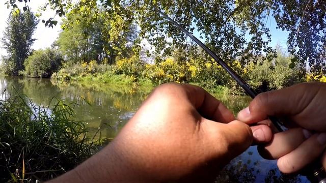 Рыбалка на ультролайт . Голавль. Усач.#голавль #рыбалка #усач #sportex #daiwa смотреть онлайн