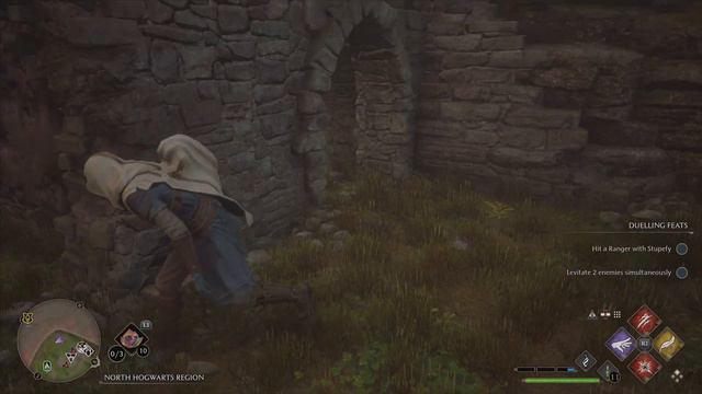 Hogwarts Legacy_ What the hell just happened смотреть онлайн