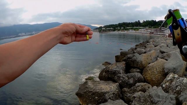 Рыбалка со спиннингом на Чёрном море / Rockfishing / Геленджик