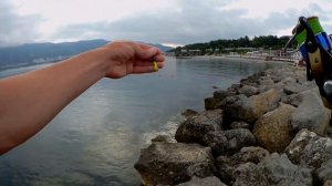 Рыбалка со спиннингом на Чёрном море / Rockfishing / Геленджик