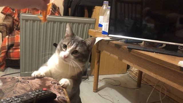 Едим горбушу смотреть онлайн